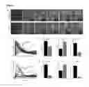 Fig. 04 - DEVICES, COMPOSITIONS AND RELATED METHODS FOR DIAGNOSING AUTISM