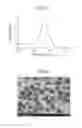 Fig. 09 - COMPOSITION COMPRISING GOLD NANOPLATES, FOR DETECTING TEST SUBSTANCE, AND USE OF SAME