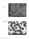Fig. 19 - COMPOSITION COMPRISING GOLD NANOPLATES, FOR DETECTING TEST SUBSTANCE, AND USE OF SAME