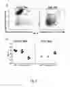 Fig. 07 - METHOD FOR CHARACTERIZATION OF CELL SPECIFIC MICROVESICLES