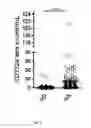 Fig. 09 - METHOD FOR CHARACTERIZATION OF CELL SPECIFIC MICROVESICLES