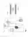 Fig. 02 - Free-breathing 3D body diffusion imaging using motion-compensated diffusion preparation and motion robust readout