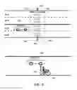 Fig. 07 - Planning autonomous motion