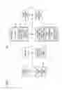 Fig. 02 - Display apparatus for displaying images
