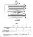 Fig. 09 - Information processing device, information processing method, computer-readable storage medium, and information processing system