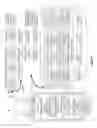 Fig. 02 - Automating identification of code snippets for library suggestion models