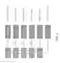 Fig. 07 - DETECTION OF HIGH-RESOLUTION STRUCTURAL VARIANTS USING LONG-READ GENOME SEQUENCE ANALYSIS