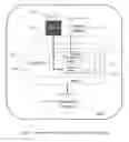 Fig. 08 - Systems and methods for deep model translation generation
