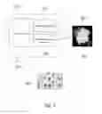 Fig. 06 - METHOD AND SYSTEM FOR IDENTIFYING AND MEASURING A DEFECT THAT REDUCES TRANSPARENCY IN A SUBSTRATE FOR A SECURITY DOCUMENT