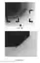 Fig. 07 - Positioning and measuring system based on image scale