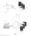 Fig. 08 - SYSTEM HAVING A CENTRAL SERVER AND A SECOND SERVER FOR ALERTING CAREGIVERS EACH CARRYING A MOBILE DEVICE TO A CHILD ABANDONED IN A POTENTIALLY DANGEROUS ENVIRONMENT