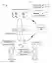 Application 20190080698, fig. 01
