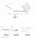 Fig. 02 - CAM MEMORY CELL