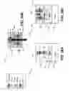 Fig. 41 - Electronic devices and systems, and methods for making and using the same