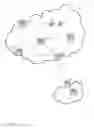 Fig. 02 - Managing traffic control in a network mitigating DDOS