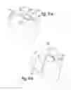 Fig. 07 - Apparatus for practicing the application of eyelash extensions