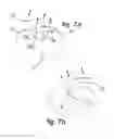 Fig. 08 - Apparatus for practicing the application of eyelash extensions
