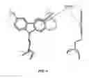 Fig. 16 - CARBAZOLE COMPOUNDS AND THERAPEUTIC USES OF THE COMPOUNDS