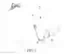 Fig. 04 - Turkey cooking device