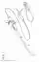 Fig. 02 - FLEXIBLE TUBE FOR ENDOSCOPE