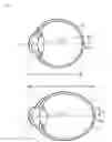 Fig. 02 - Ophthalmic apparatus