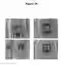 Fig. 35 - Assessment of wound status and tissue viability via analysis of spatially resolved THz reflectometry maps