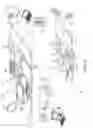 Fig. 06 - Innate metabolic imaging of cellular systems