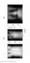 Fig. 08 - Methods, systems, and apparatus for determining radiation doses