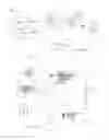 Fig. 09 - Ingestible Medical Device