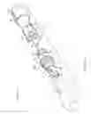 Fig. 19 - Ingestible Medical Device