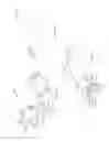 Fig. 27 - Ingestible Medical Device