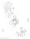 Fig. 35 - Ingestible Medical Device