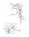 Fig. 10 - Tissue anchors with hemostasis seal