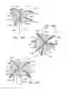 Fig. 25 - Tissue anchors with hemostasis seal