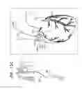 Fig. 28 - Tissue anchors with hemostasis seal