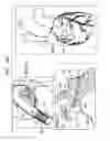 Fig. 33 - Tissue anchors with hemostasis seal