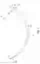 Fig. 02 - Surgical coated needles