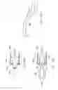 Fig. 26 - Device and Method for Through the Scope Endoscopic Hemostatic Clipping