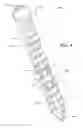 Fig. 04 - INSTRUMENT ASSEMBLY FOR USE WITH AN EXPANDABLE PEDICLE SCREW