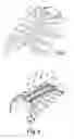 Fig. 03 - Split sternum prosthesis