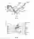 Fig. 02 - SYSTEMS, DEVICES, AND METHODS FOR OVARIAN DENERVATION
