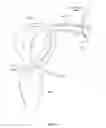 Fig. 09 - SYSTEMS, DEVICES, AND METHODS FOR OVARIAN DENERVATION