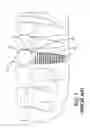 Fig. 02 - DENTAL IMPLANT METHOD AND APPARATUS
