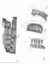 Fig. 02 - Method and apparatus for generation of 3D models with applications in dental restoration design