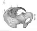 Fig. 112 - Systems for and methods of preparing and fusing a sacroiliac joint