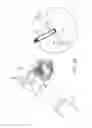 Fig. 22 - Systems for and methods of preparing and fusing a sacroiliac joint