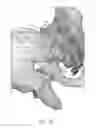 Fig. 58 - Systems for and methods of preparing and fusing a sacroiliac joint