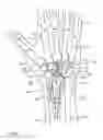 Fig. 02 - METHOD AND APPARATUS FOR JOINT REPLACEMENT ARTHROPLASTY