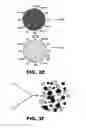 Fig. 09 - Hydrogel microparticle scaffold with gradients of degradability and methods thereof