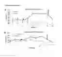 Fig. 09 - METHODS AND COMPOSITIONS FOR THE MODULATION OF BETA-ENDORPHIN LEVELS